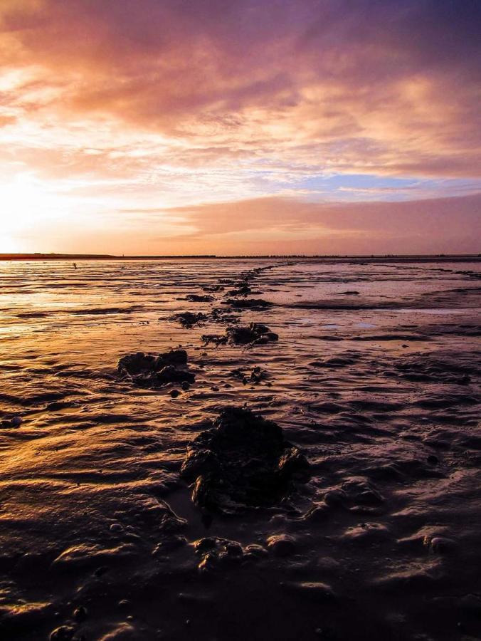 Vissershuisje Aan De Waddenzee Paesens Eksteriør bilde