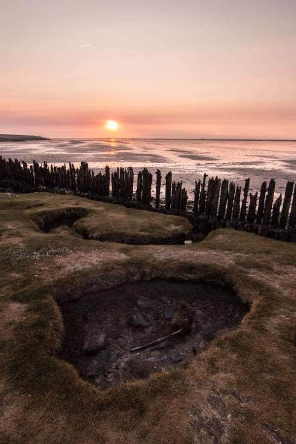 Vissershuisje Aan De Waddenzee Paesens Eksteriør bilde